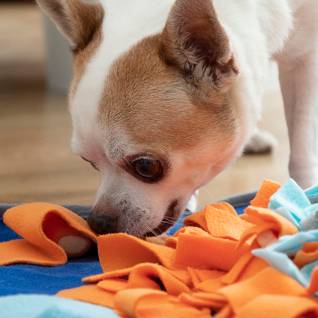 Tapis à Fouiner Doggo Zen