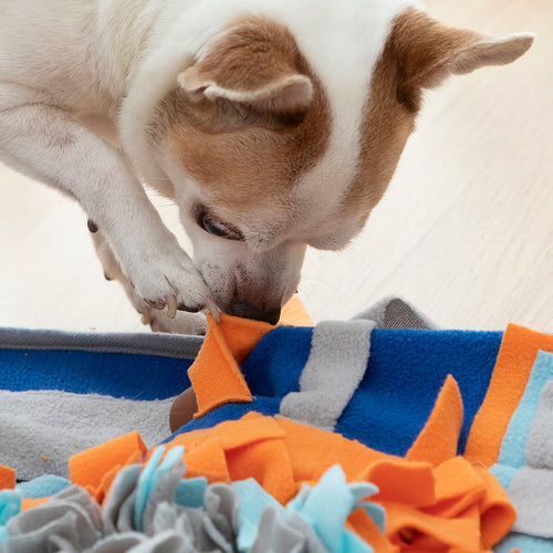 Tapis à Fouiner Doggo Zen