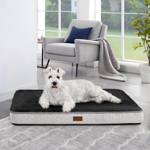 Lit orthopédique Doggo Zen avec chien allongé - coloris gris/noir