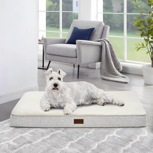 Lit orthopédique Doggo Zen coloris Blanc avec chien allongé