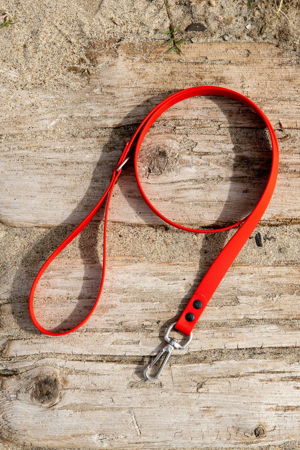 Laisse pour chien posée au sol - catégorie Accessoires Doggo Zen
