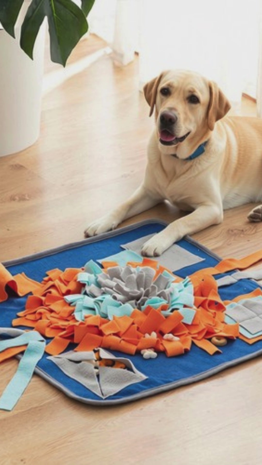 Tapis à Fouiner Doggo Zen